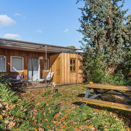 Nice Home In Zeulenroda-Triebes With Sauna Екстер'єр фото